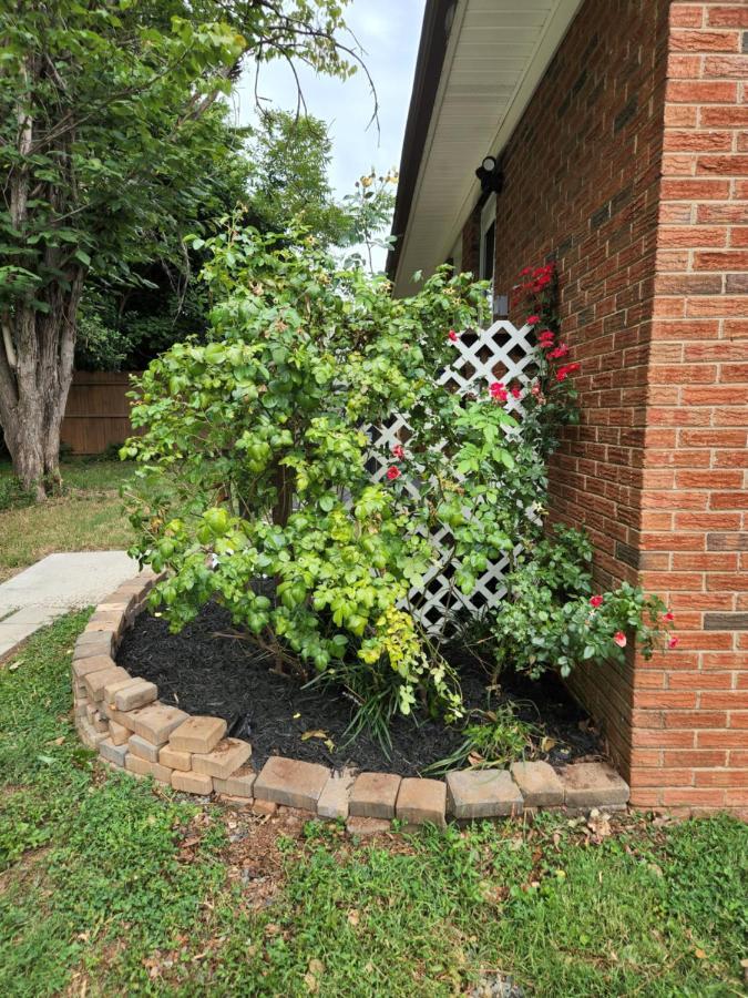 2Br 1Ba Duplex House King Beds Great For Small Groups Close To All Uptown Charlotte Attractions Extérieur photo